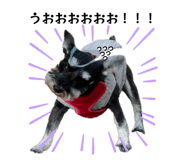 851556554