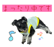 851556557