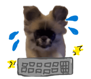 851556836