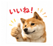 851558246