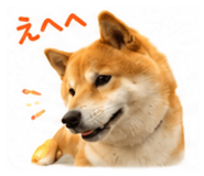 851558247