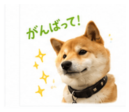 851558250