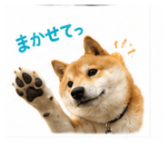 851558254