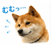 851558256