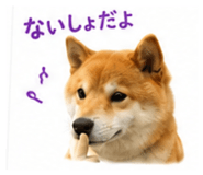 851558257