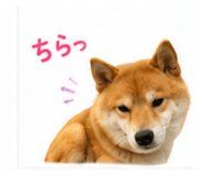 851558262