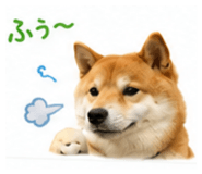 851558265