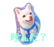 851558460