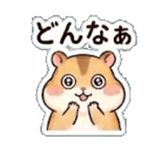851558847