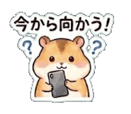 851558860