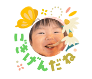 851558916