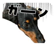 851559381