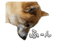 851559468