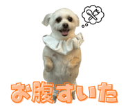 851560632