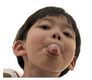 851561136