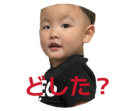 851561177