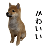 851561957