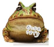 851564383