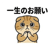 851564893