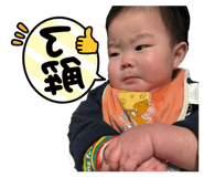 851565511