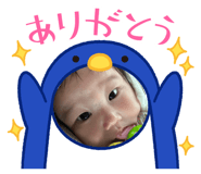 851565587