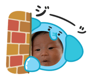 851565589