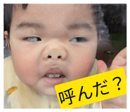 851566544