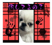 851582973
