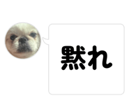 851582983