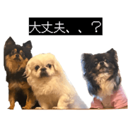 851582992