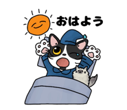 851583061