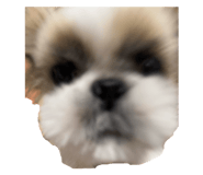 851583406
