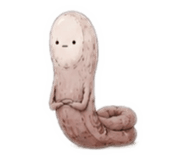851583863