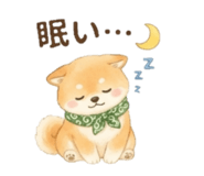 851584097