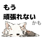 851584854