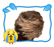 851585355