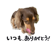 851585368