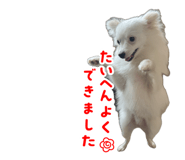 851587011