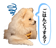 851589450