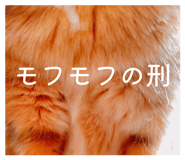 851594218