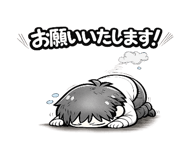 851594536