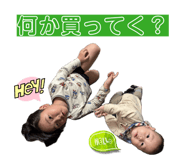 851594912