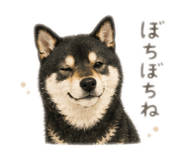 851599638