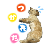 851599995