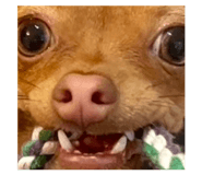 851603415