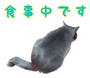 851606404