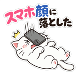851611125