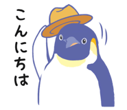 851611818