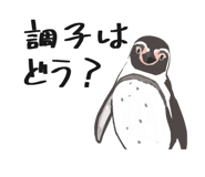 851611822