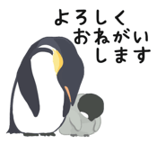 851611845